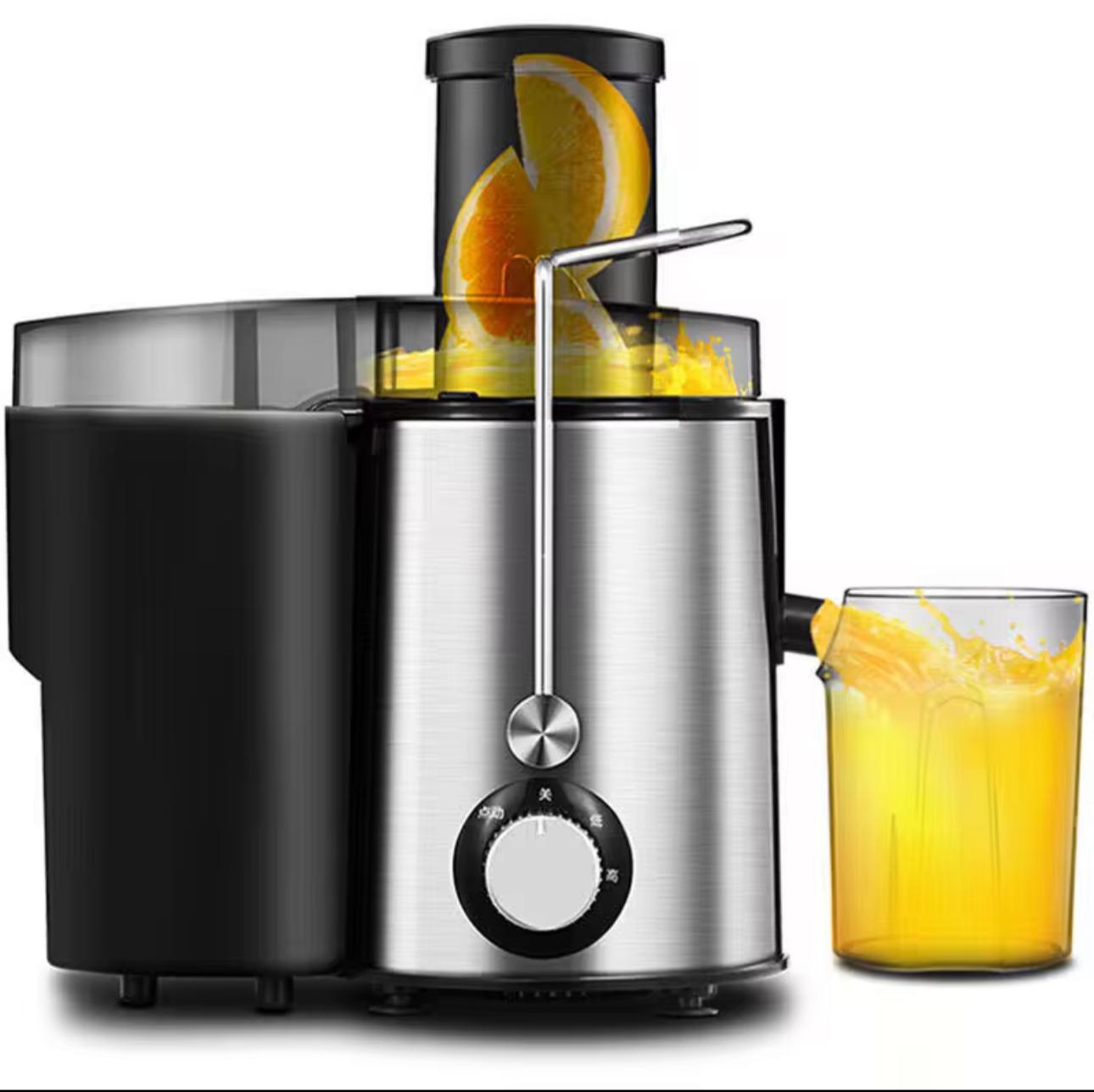 Rosenberg Juicer – 600W Sapcentrifuge met 600ml Kan, Krachtige Versapers voor Fruit en Groenten